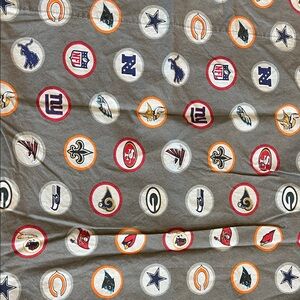 Pottery Barn Teen Gray Football Team Bedding Sheets